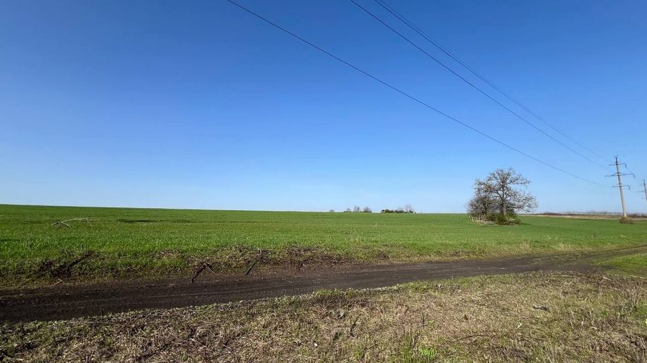 Teren 41,49 ari Ghidighici | deschidere 122 m | agricol | investiție - Poză 8