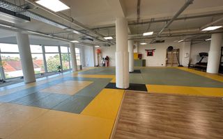 Spatiu de birou cu terasa de 295 mp - Poză 13