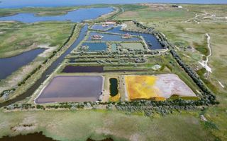 Oportunitate investitie teren Delta Dunarii, pe malul Lacului Histria - Poză 3