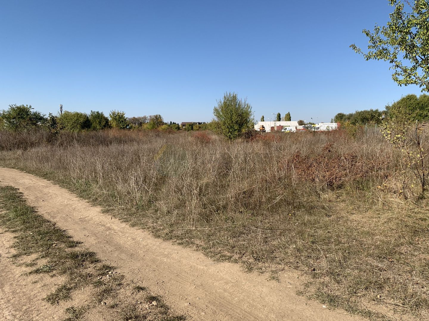 Teren intravilan 5000mp Sector 1 Bucuresti - Poză 5