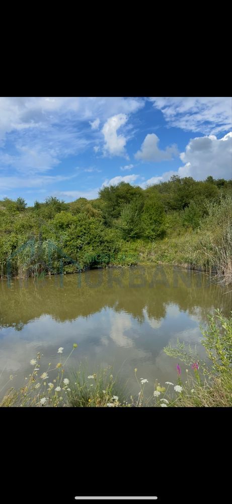 De vanzare teren in comuna schitu duca cu iaz de peste si salcami - Poză 1