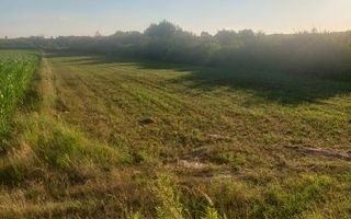 TEREN DE VÂNZARE-32480 mp CARANSEBEȘ JUD.CS,  0% COMISION - Poză 6