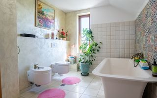 Proprietate UNICA | MogosoaiaI Intre PADURE si LAC | 0 Comision - Poză 9