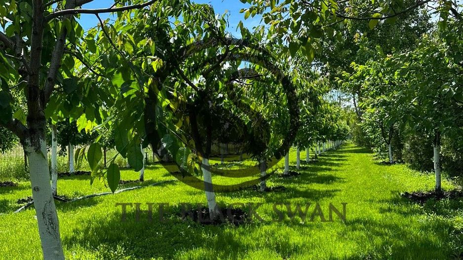 Casa / Vila de vanzare | 2232 mp teren | Tariceni, Prahova - Poză 32
