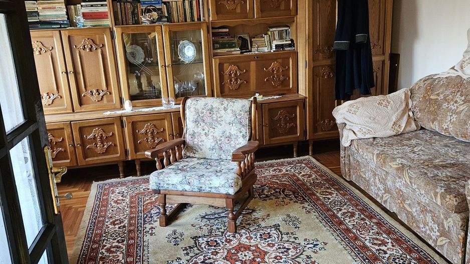 Casă 2 familii / firmă + livadă Satu Mare - Cionchești - Poză 8
