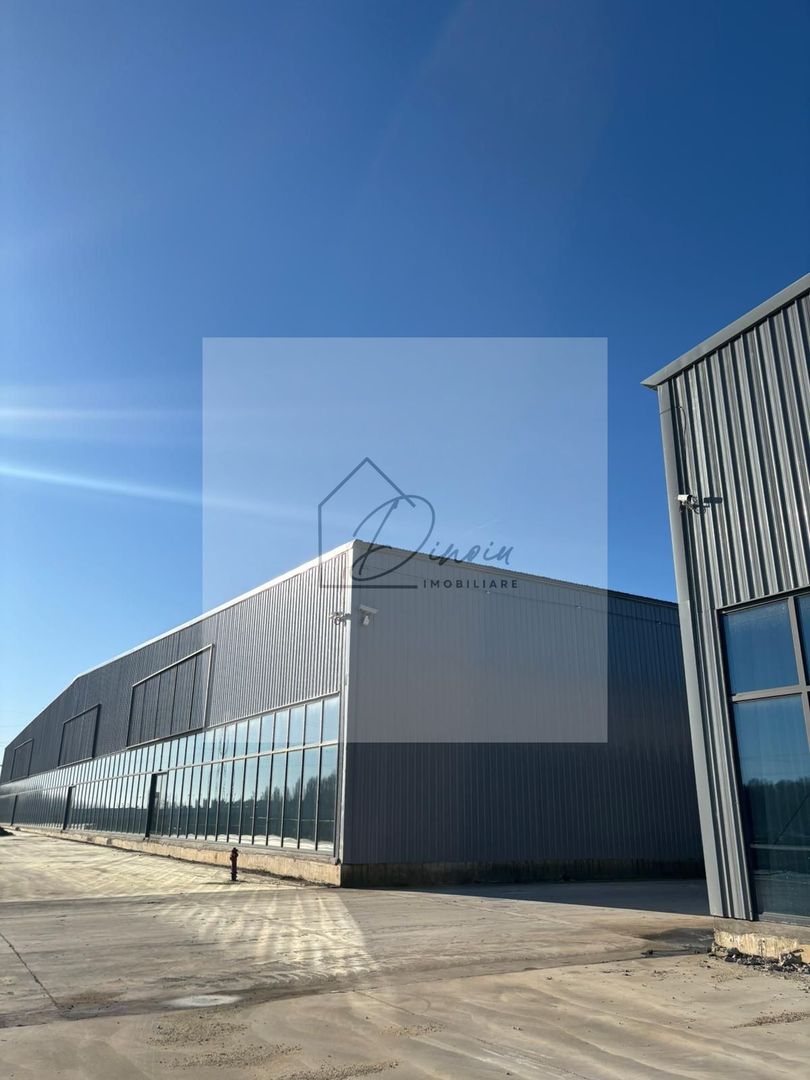 Hala de inchiriat I Afumati I minim 500 mp I langa Centura Bucuresti - Poză 18