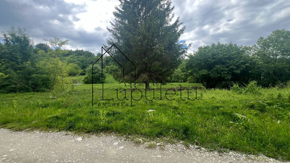 Teren Intravilan – 2.700 mp | Valea Avrigului | Zonă turistică deoseb - Poză 1