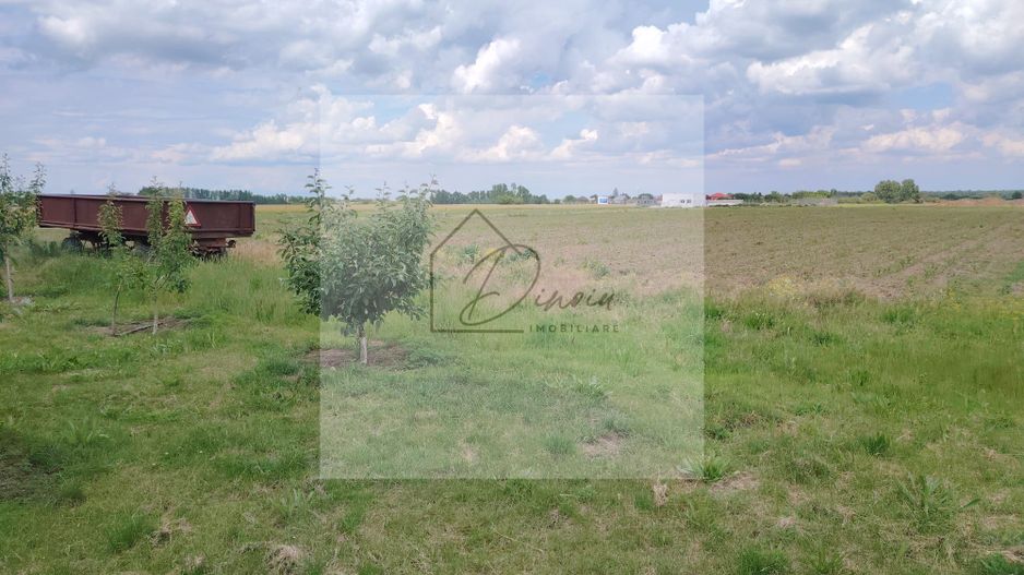 Teren intravilan Ciocanesti Cretu - 9282 mp divizat in 15 loturi - Poză 7