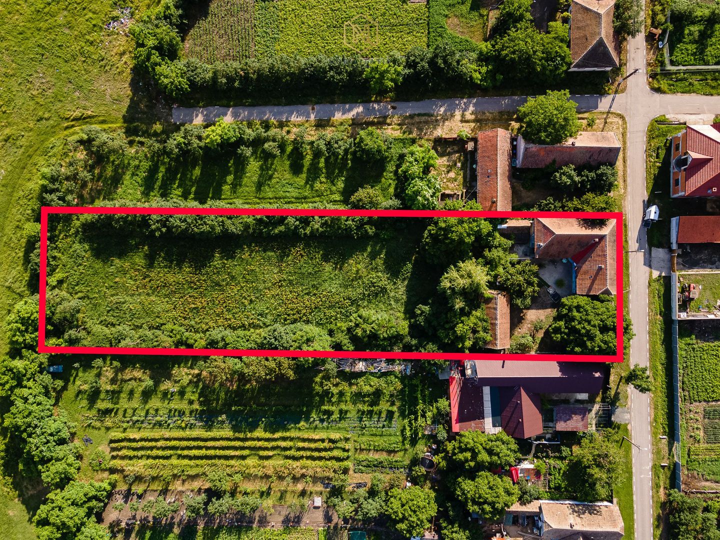 OFERTA VANDUTA  - Casa Izvin | 4 camere - 146 mp | Centrala gaz | Teren 3157 mp - Poză 5