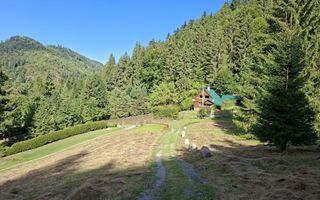 Teren intravilan la munte - Poză 7