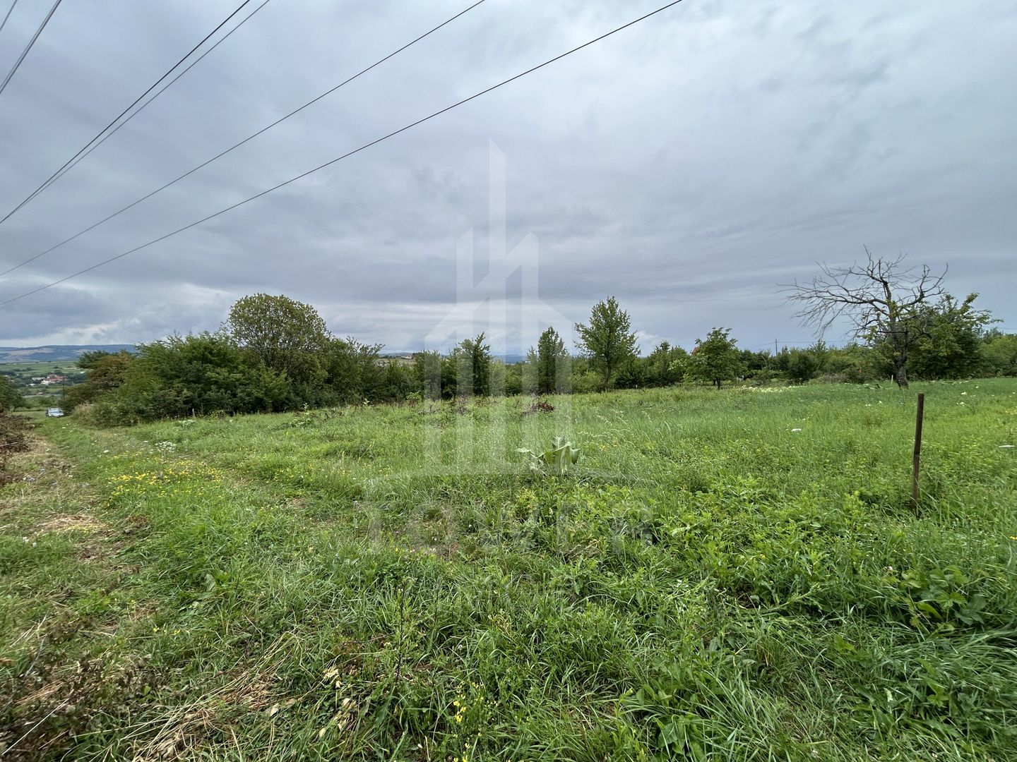 Teren intravilan de vânzare în Daia Nouă – 1.000 mp - Poză 1