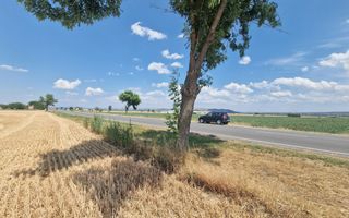 Teren agricol la sosea, pretabil si ptr constructii industriale - Poză 3