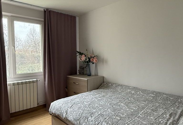 Apartament 3 camere zona Liviu Rebreanu - Auchan Titan - Poză 6