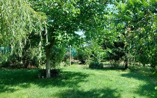 Casa 3 camere Parter Giurgiu Com Bucsani - Poză 1