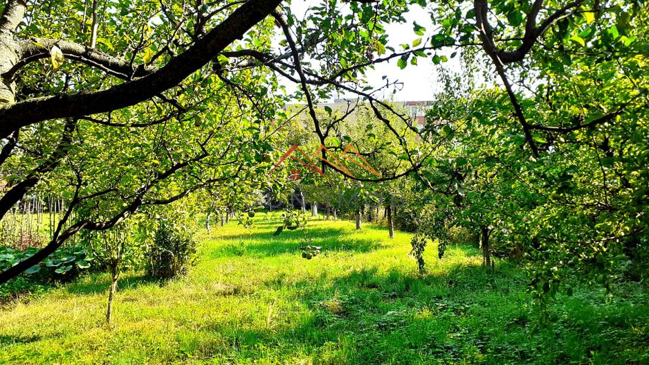 Casa 3 camere, teren 3625 mp, toate utilitatile, Sacele, Brasov - Poză 5