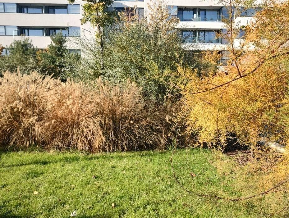 Apartament 3 camere | Vedere libera | Chitila - Poză 15