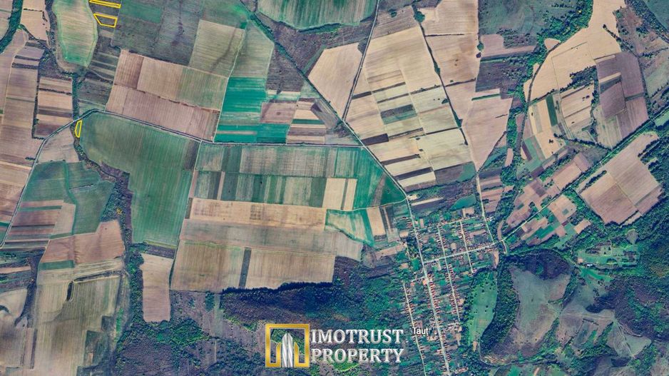 Terenuri agricole de vânzare în Arad – Comuna Tăuț - Poză 2