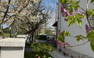 Duplex Spațios, 135mp | 4 Camere | | Zonă Kaufland | Dumbravita - Poză 17