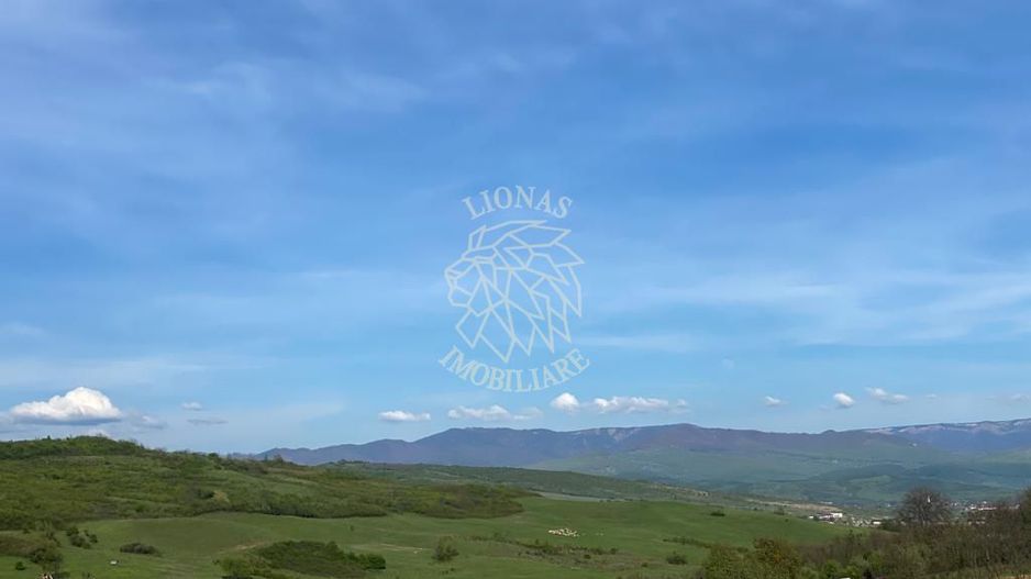 Teren 2160 mp - pretabil pentru cabana - investitie - Jelna - Poză 5