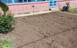 Casă locuibilă cu 3 camere și teren 4000 mp, Popesti, Iași - Poză 1