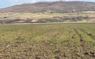 Teren Intravilan-3750mp- zona in plina dezvoltare-Podirei - Poză 3