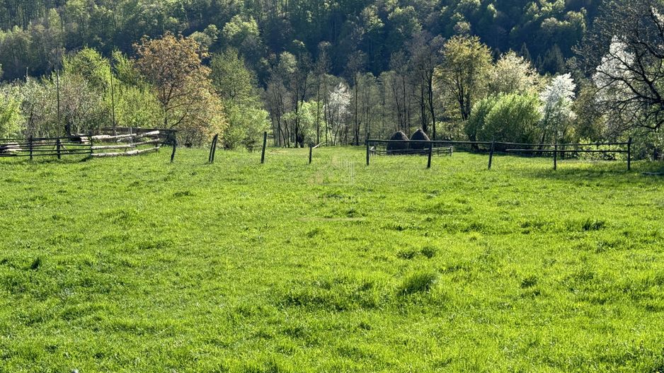 TEREN INTRAVILAN 2592 MP,  ALBESTI DE MUSCEL, ARGES - Poză 5