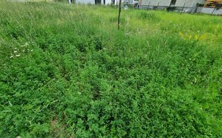 De vanzare teren 450mp intravilan, cu utilitati, zona Orizont - Poză 6