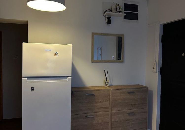 Inchiriere Apartament 3 camere, renovat recent, 80 mp, lângă metrou Timpuri Noi - Poză 4