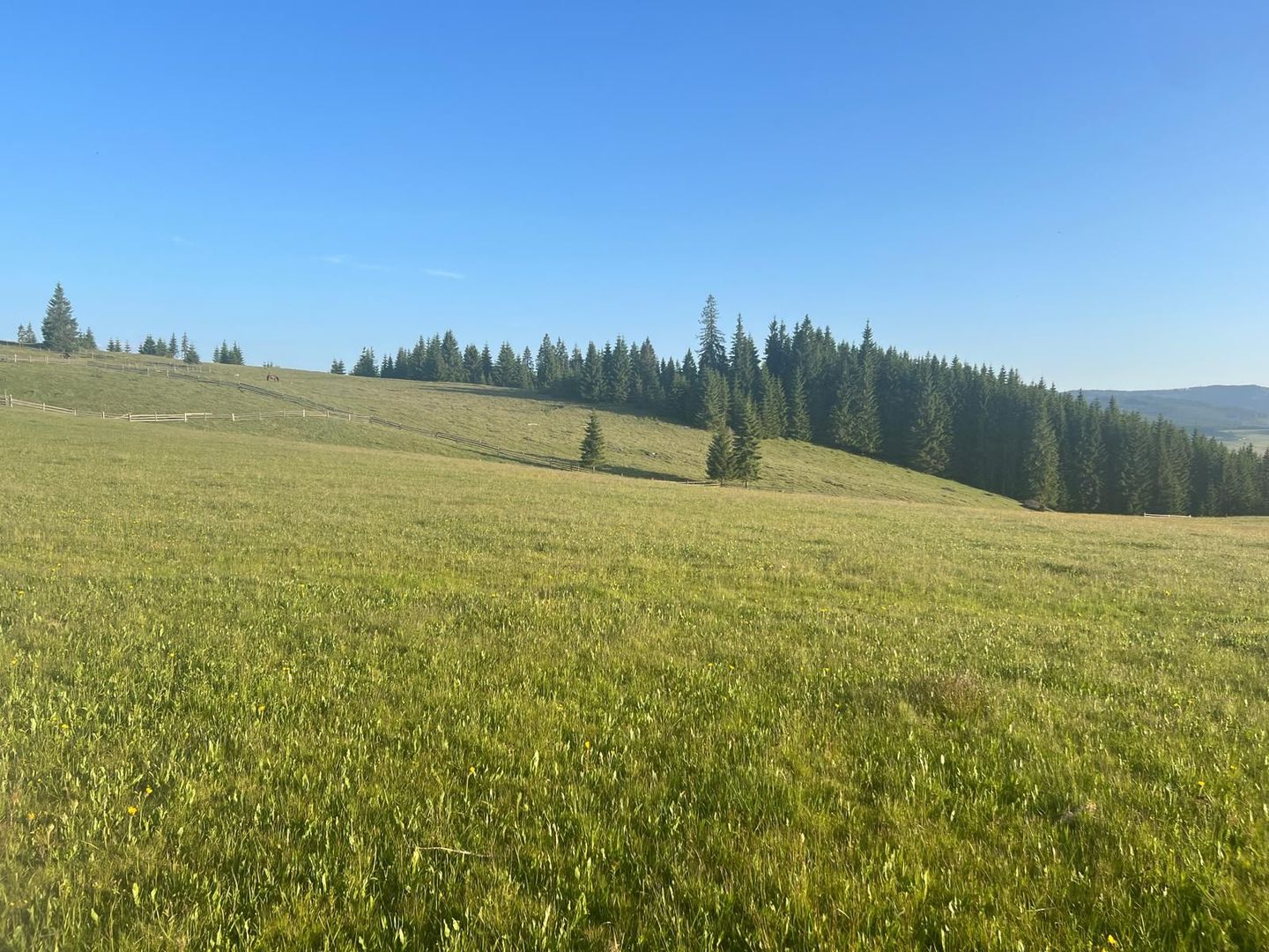 50 hectare teren | Moldova-Sulita | Potential turistic si agricol - Poză 1