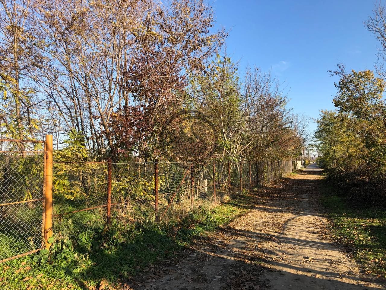 Teren intravilan de vanzare | 12.650 mp | Ghirdoveni | Comision 0% - Poză 8