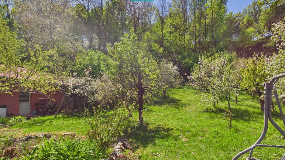 Casă Câmpani, 8000 mp teren, la poalele Apusenilor - Poză 13