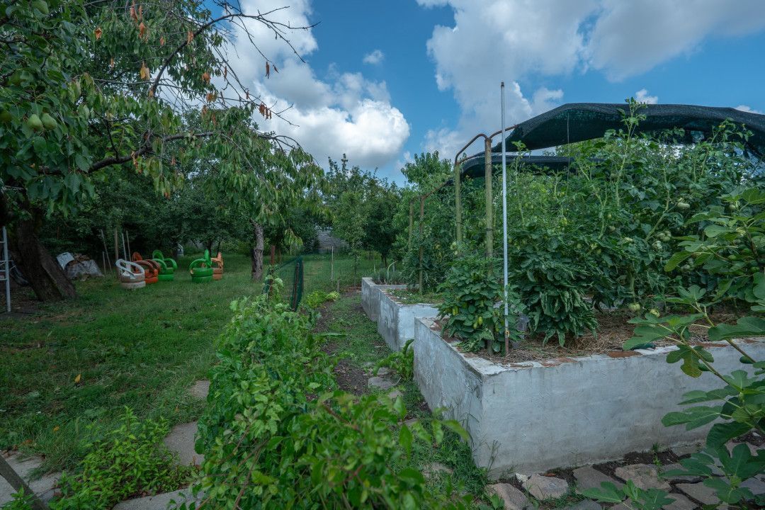 De Vânzare Casă Vânătorilor 9 ari teren - Poză 15