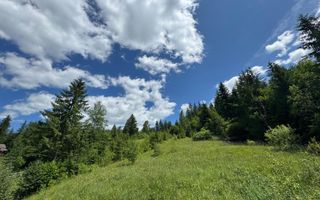 TEREN EXTRAVILAN DE VANZARE | CAMPULUNG MOLDOVENESC | 258.720€ - Poză 4