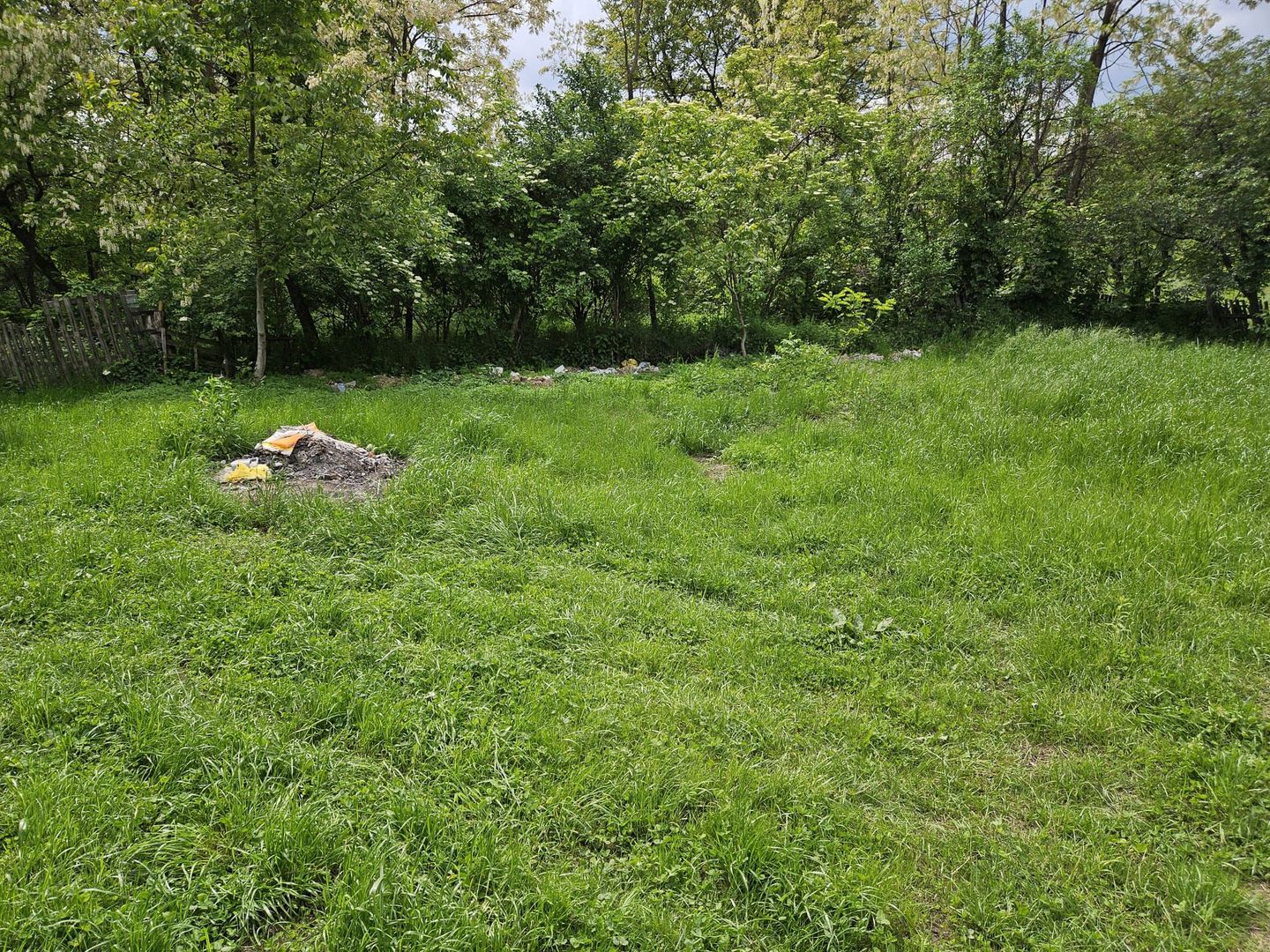 Vanzare casa Stroesti - Valea Valsanului - Poză 4