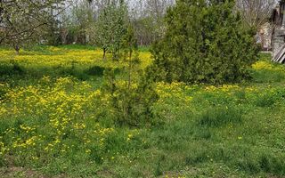 Teren 2.600 mp, utilități, Str. Merișor – Giurgiu - Poză 10