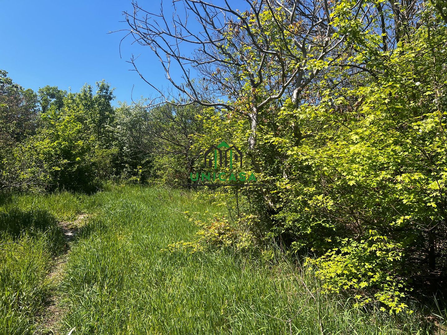 Teren intravilan/934 mp/Lenin Sud - Poză 1