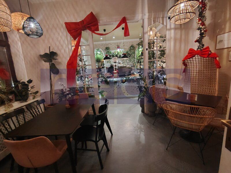 VILA EXCEPTIONALA PARCUL CAROL |  5 STUDIOURI | SPATIU HORECA FUNCTIONAL | - Poză 2