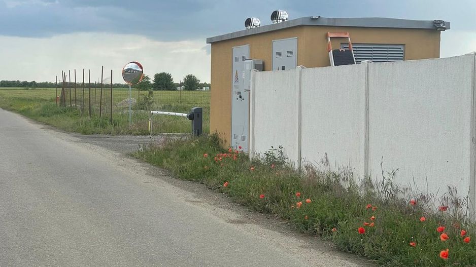Teren 5.000 mp | Tamași – Corbeanca | Lângă Pădure | Utilități - Poză 3