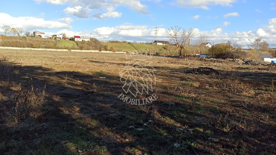 Teren intravilan 2,06 ha-parcelabil- investitie/hala-Zona Industriala - Poză 2