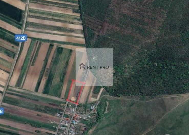 Teren de 11.000 mp cu casă și teren agricol | La 40 km de București | - Poză 13
