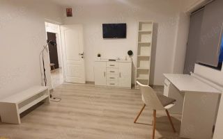 Apartament 1 camera Lunca Cetatuii - Poză 3