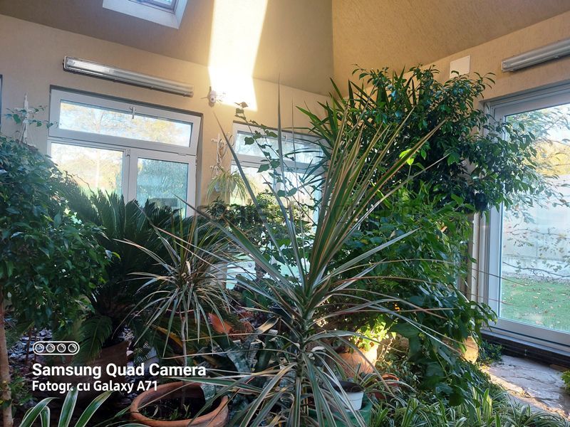Casa lux cu 5 camere in Rontau - Poză 24