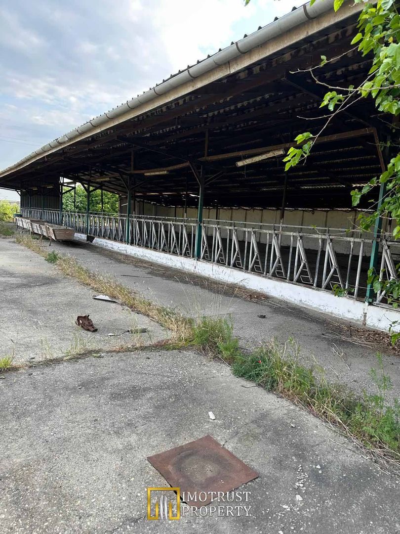 Teren 9.508 mp cu 2 fronturi stradale – Sofronea, Arad - Poză 4