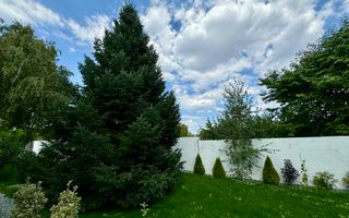 Vila cu 5 camere // * 565 mp gradina* // Tunari - Poză 74