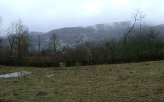 Teren de vanzare in Provita de jos - Poză 7