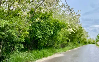 Vila  SMART_individuala _LUX***Padurile Regale//Corbeanca - Poză 19