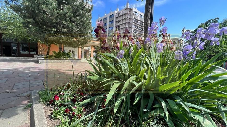 Apartament 2 camere Tudor Vladimirescu-Iulius Mall - Poză 27