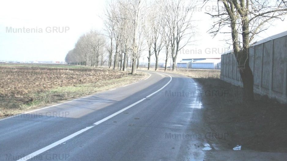 AFUMATI - Tarla 9, teren agricol in suprafata de 35.000 mp. - Poză 3