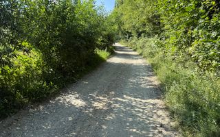 Teren Sohodol 5000 mp - Poză 7