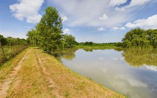 Moară istorică cu teren și luciu de apă în Aldești - Poză 1